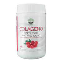 Hydrolyzed Collagen with Blueberries with Magnesium and Zinc 