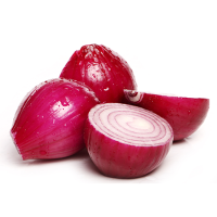Fresh Red Onion / Fresh Yellow Onion