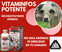 No more anemia or weakness in your cattle