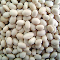 Panamito Beans  - 25 Kg - 50 Kg poly bags