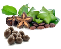 Organic Sacha Inchi Sweetened with Panela