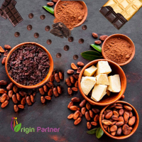 Origin Partner Company