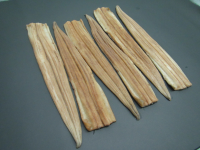 Frozen Conger Eel Coocked Fillet (Ni Anago)