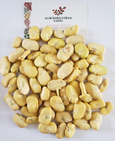 Peeled fava beans