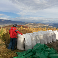 EMPRESA AGROINDUSTRIAL SADEL 