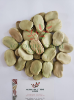 Fava Beans 