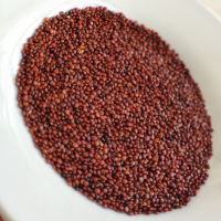 Red Quinoa