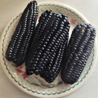 Purple Corn 10kg