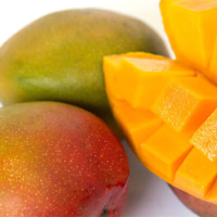 Fresh Mango Kent Variety