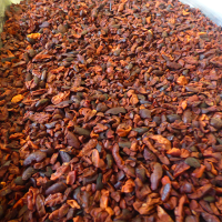 Cocoa Nips