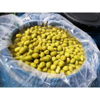 Product sample of high quality whole green olive.
