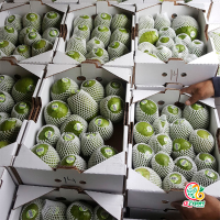 Custard Apple Fresh 
