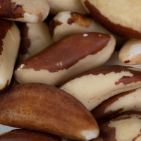 Brazil nut type Large