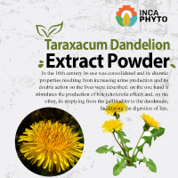 dandelion powder
