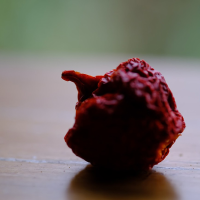 Dried Whole Pepper