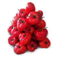Red Pepper