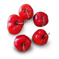 Red Pepper
