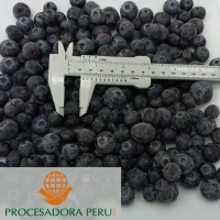 Frozen Blueberries
