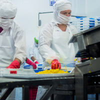  Production of canned pigeon peas