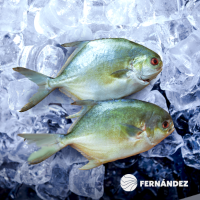 Butterfish Fernández or Khuwa