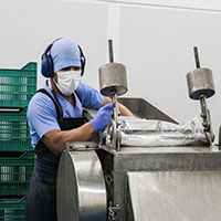 Processing plant of superfoods