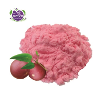 Camu Camu Spray dried (pink)
