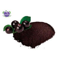Acai Powder from 5 to 10 kg