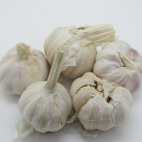 Fresh Garlic in Sacks of 20kg and 46kg