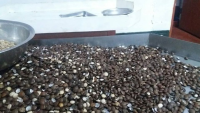 Laboratorio Herbal Food