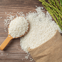 Rice (Oryza Sativa)