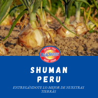 SHUMAN PERU Company