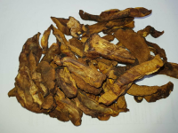 Dried Mushrooms (Boletus luteus/Suillus luteus)