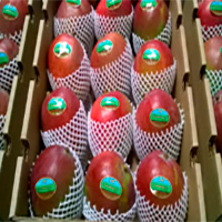 Mangoes