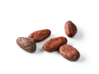 Raw cocoa beans origin Chuncho Cusco
