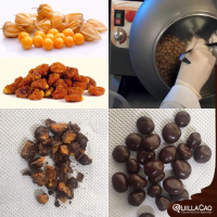 Dragee and Candied Chocolates for dried and dried fruits