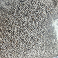 Organic Chia or Conventional 25kg and 50kg