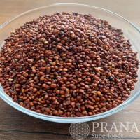 Organic Red Quinoa or Conventional 25kg and 50kg
