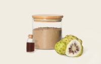 Noni Powder of 20 Kg.