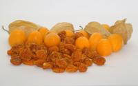 Organic Dried Goldenberry 
