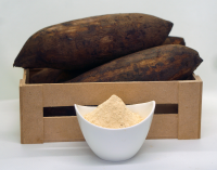 Organic yacon powder