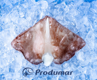 Giant Squid Raw Wings  (Dosidicus gigas)