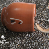 Organic Black Chia