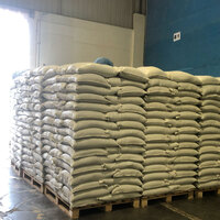 Export Cargo
