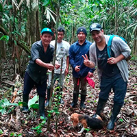 Inca Phyto Company