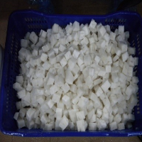 Squid Dices