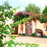 Part of the private income and an old Pisco y Vinos delivery cart