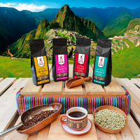 Main products AICASA: Green coffee, Roasted coffee, cocoa beans, cocoa paste