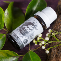 Peruvian myrtle Essential Oil