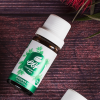 Andean Mint Essential Oil 10ml & 1Kg