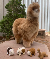 Alpaca Toys 